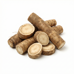 Burdock Root