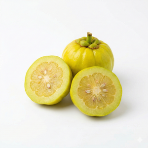 Garcinia Cambogia Extract