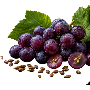 Grape Seed