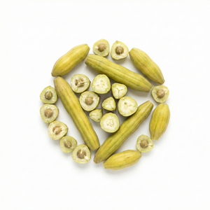 Moringa Fruit Extract