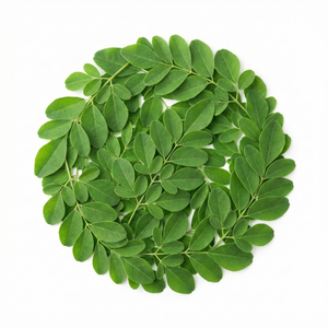 Moringa Leaf Extract