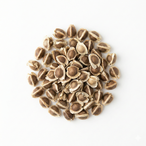 Moringa Seed Extract