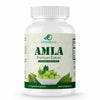 Amla Extract Capsules | Herbal Vitamin C & Immune Support Formula